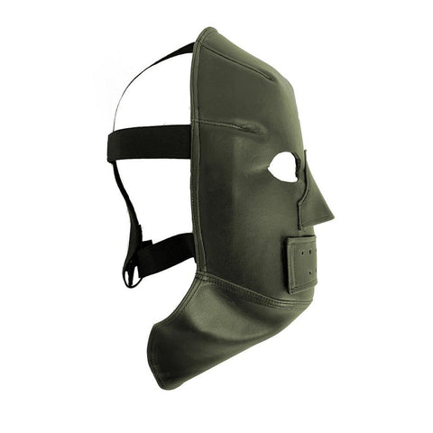 Deluxe Riddler Mask