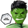 Hulk Boy's Costume