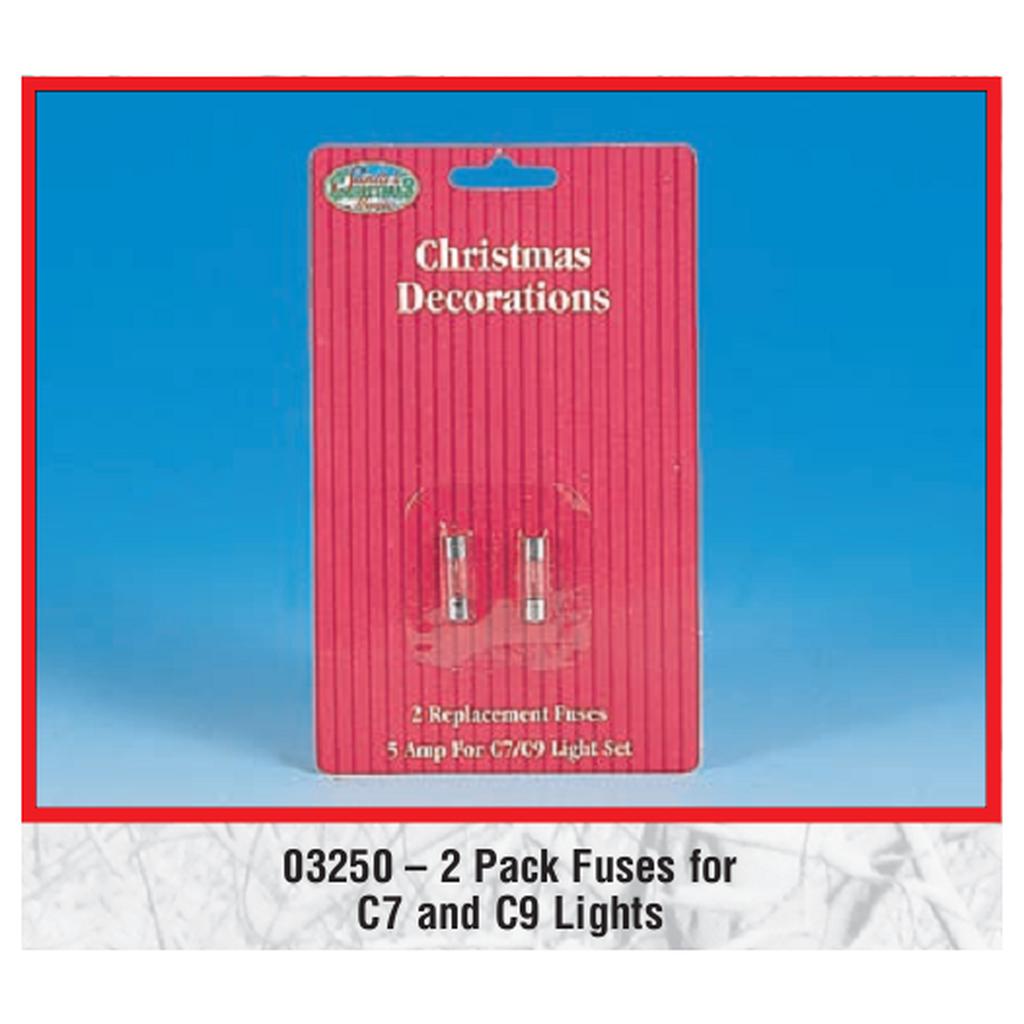 5 Amp Fuses - 2 Pack