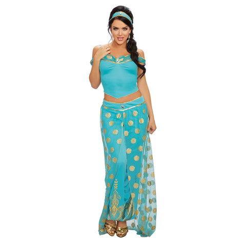Arabian Princess Women's Costume