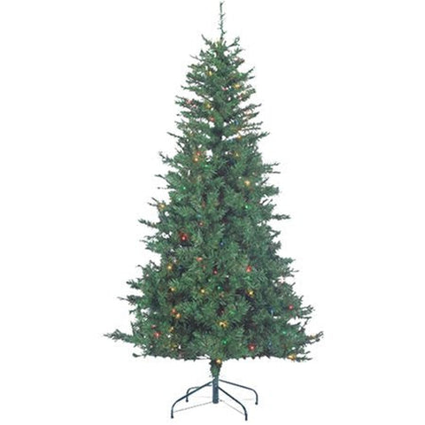 7' Colorado Spruce Tree