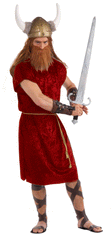 Red Tunic Men's Costume