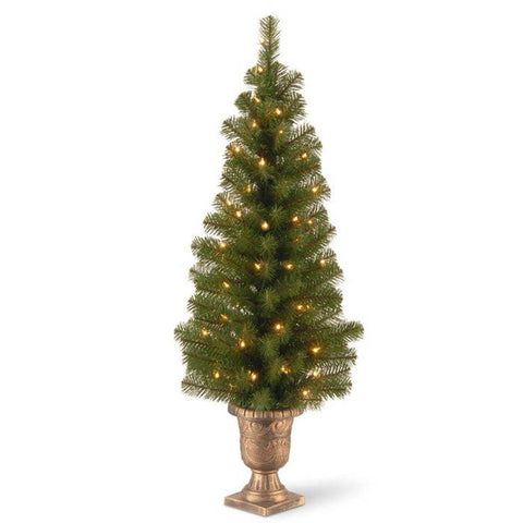 Montclair Spruce Entrance Tree