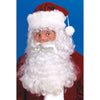 Santa Wig & Beard Set