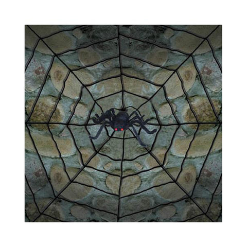 Rope Spider Web w/ Posable Spider