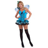 Fantasy Fairy Women's Costume