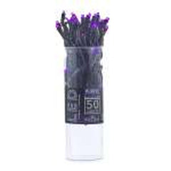 50LT 5MM Bulb Light Strand