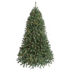 7.5' Hudson Valley Tree