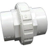 Union Check Valve