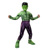 Hulk Boy's Costume
