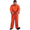 Prisoner Plus Size Costume