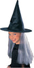 Witch Hat w/ Hair