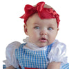 Dorothy Newborn Costume