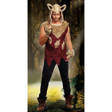 Big Bad Wolf Men's Costumes